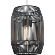Outdoor Pendants / Chandeliers